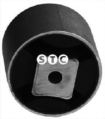 STC - T405064 - Опора КПП DB V