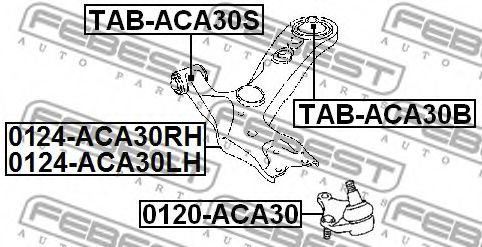 FEBEST - TAB-ACA30B - Сайлентблок задній важеля перед. лів./прав. Toyota RAV-4 05-12