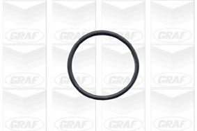 GRAF - PA432A - Водяна помпа BMW 3(E36/E46)/5(E34/E39/E60)/7(E38)/X3(E83)/X5(E53) 2.0/2.3/2.5/2.8/3.0 1996-