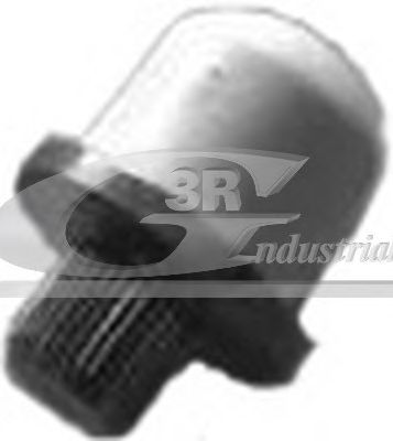 3RG - 22603 - Болт вилки зчеплення Renault Megane/Scenic I (JA0/1) -03  ( motor F9Q)