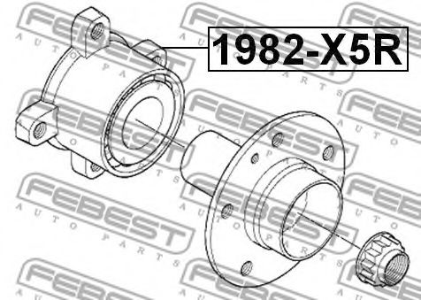 FEBEST - 1982-X5R - СТУПИЦА ЗАДНЯЯ BMW X5 E53 1999-2006