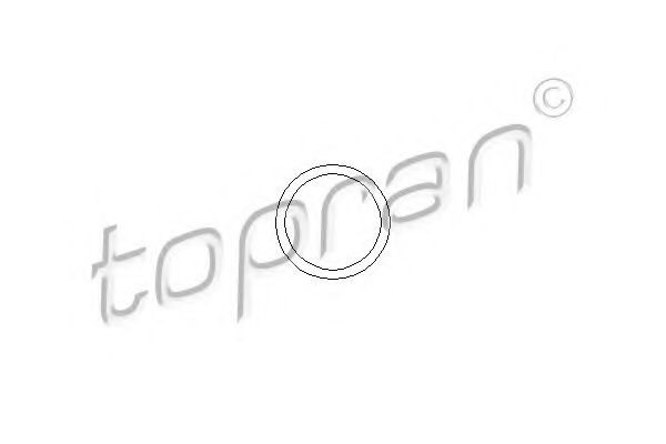 TOPRAN - 202 326 - Прокладка корпусу термостата Opel Ascona, Kadett, Omega, 81-99