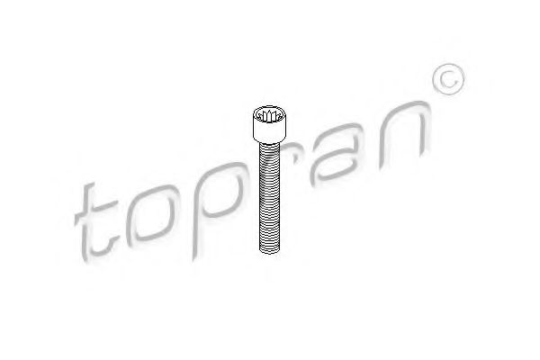 TOPRAN - 104 306 - Болт ШРКШ внутр. M8x48 VW /Audi
