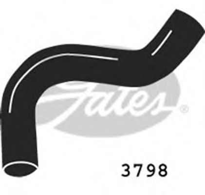 GATES - 3798 - Патрубок радиатора ниж. Ford Transit 2,5D 86-