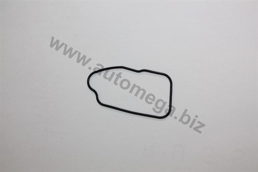 AUTOMEGA - 190055420 - Прокладка термостата Opel Astra F 1.6i 94-/Vectra C 1.6 04-