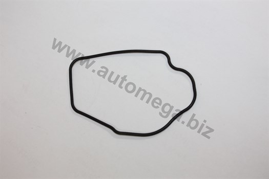 AUTOMEGA - 190055720 - Прокладка термостата Opel Astra G /H 2.0 Turbo 2.0 04-