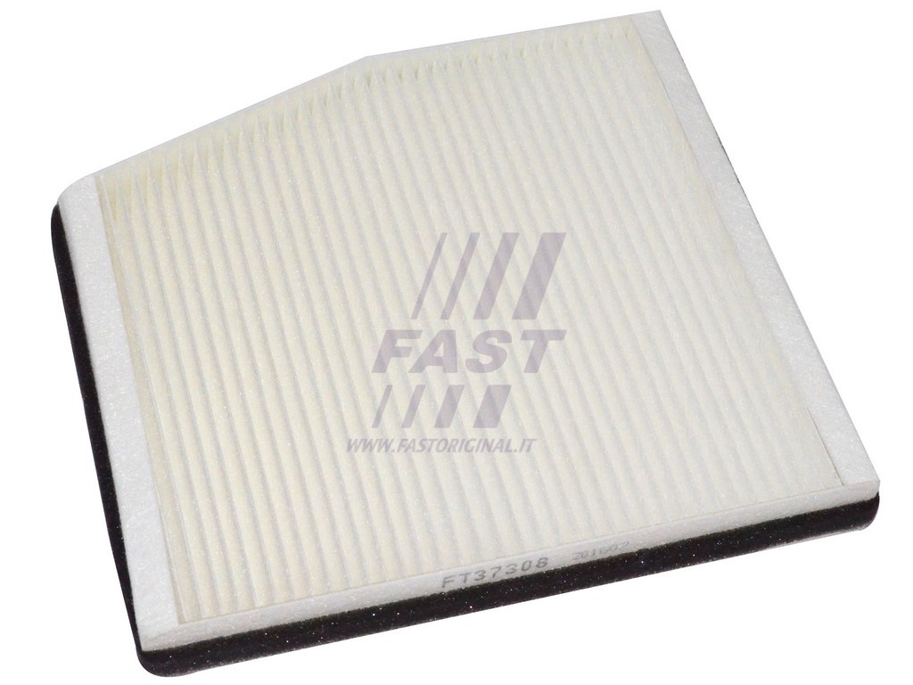FAST - FT37308 - Фільтр салону Fiat Idea/Punto/Doblo 07/99-/ Lancia Musa/Ypsilon 06/03- (165*25*215)