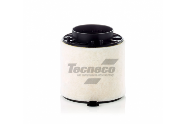 TECNECO - AR8K01 - Фільтр повітряний Audi A4/A5/Q5  3.0 TDI 07-